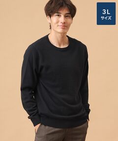 TAKASHIMAYA CASHMERE(レディース、メンズ) / タカシマヤカシミヤ(レディース、メンズ) ニット・セーター | カシミヤ クルーネックセーター【3L】