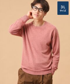TAKASHIMAYA CASHMERE(レディース、メンズ) / タカシマヤカシミヤ(レディース、メンズ) ニット・セーター | カシミヤ クルーネックセーター【3L】