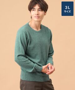TAKASHIMAYA CASHMERE(レディース、メンズ) / タカシマヤカシミヤ(レディース、メンズ) ニット・セーター | カシミヤ クルーネックセーター【3L】