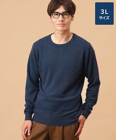TAKASHIMAYA CASHMERE(レディース、メンズ) / タカシマヤカシミヤ(レディース、メンズ) ニット・セーター | カシミヤ クルーネックセーター【3L】