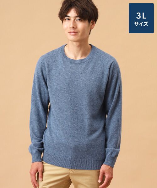 TAKASHIMAYA CASHMERE(レディース、メンズ)/タカシマヤカシミヤ(レディース、メンズ) カシミヤ クルーネックセーター【3L】 ブルーグレー 3L TAKASHIMAYA CASHMERE(レディース、メンズ)/タカシマヤカシミヤ(レディース、メンズ) カシミヤ クルーネックセーター【3L】 ブルーグレー 3L