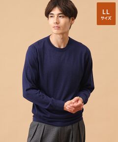 TAKASHIMAYA CASHMERE(レディース、メンズ) / タカシマヤカシミヤ(レディース、メンズ) ニット・セーター | カシミヤシルク クルーネックセーター【LL】