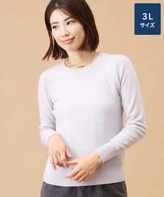 TAKASHIMAYA CASHMERE(レディース、メンズ) / タカシマヤカシミヤ(レディース、メンズ) ニット・セーター | カシミヤ クルーネックセーター【3L】