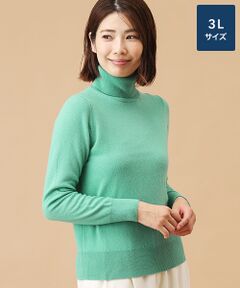 TAKASHIMAYA CASHMERE(レディース、メンズ) / タカシマヤカシミヤ(レディース、メンズ) ニット・セーター | カシミヤ タートルネックセーター【3L】