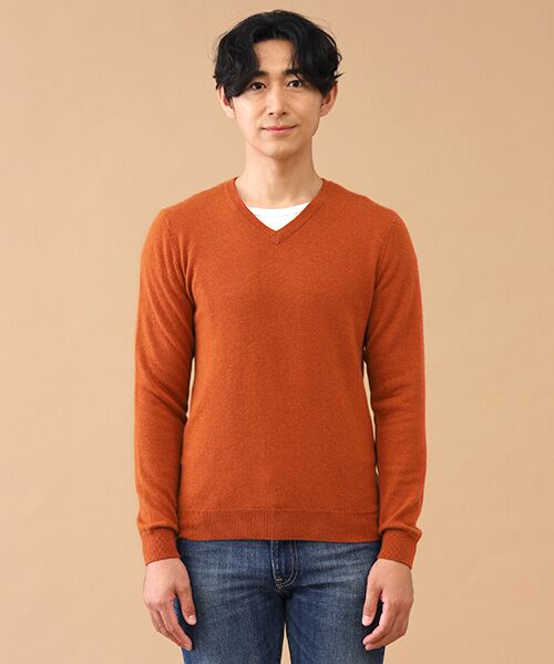 TAKASHIMAYA CASHMERE(レディース、メンズ) / タカシマヤカシミヤ(レディース、メンズ) ニット・セーター | カシミヤ Vネックセーター【S/M/L】 | 詳細3