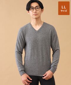 TAKASHIMAYA CASHMERE(レディース、メンズ) / タカシマヤカシミヤ(レディース、メンズ) ニット・セーター | カシミヤ Vネックセーター【LL】