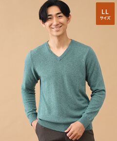 TAKASHIMAYA CASHMERE(レディース、メンズ) / タカシマヤカシミヤ(レディース、メンズ) ニット・セーター | カシミヤ Vネックセーター【LL】