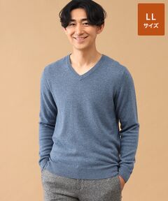 TAKASHIMAYA CASHMERE(レディース、メンズ) / タカシマヤカシミヤ(レディース、メンズ) ニット・セーター | カシミヤ Vネックセーター【LL】