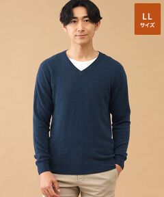 TAKASHIMAYA CASHMERE(レディース、メンズ) / タカシマヤカシミヤ(レディース、メンズ) ニット・セーター | カシミヤ Vネックセーター【LL】