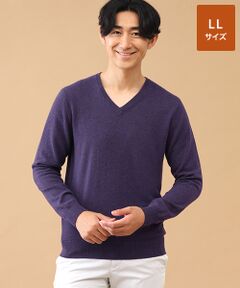 TAKASHIMAYA CASHMERE(レディース、メンズ) / タカシマヤカシミヤ(レディース、メンズ) ニット・セーター | カシミヤ Vネックセーター【LL】