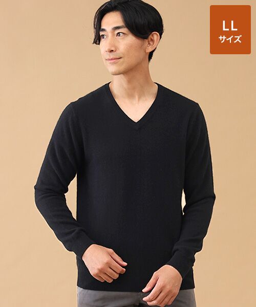 TAKASHIMAYA CASHMERE(レディース、メンズ) / タカシマヤカシミヤ(レディース、メンズ) ニット・セーター | カシミヤ Vネックセーター【LL】(ブラック)