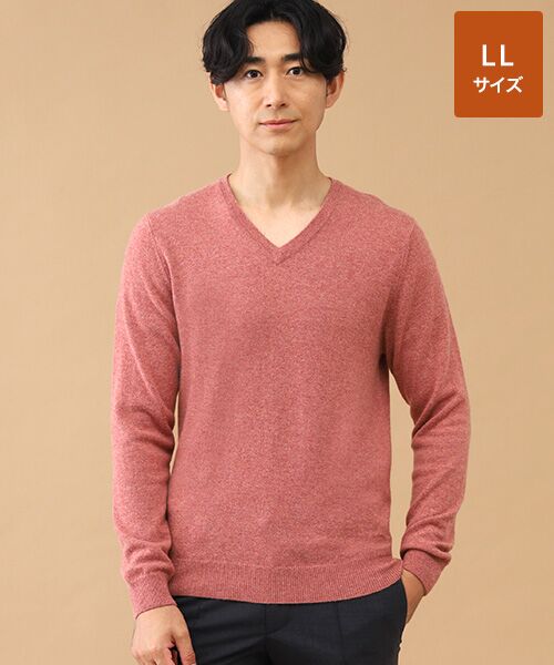 TAKASHIMAYA CASHMERE(レディース、メンズ) / タカシマヤカシミヤ(レディース、メンズ) ニット・セーター | カシミヤ Vネックセーター【LL】(サンドレッド)
