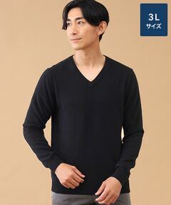 TAKASHIMAYA CASHMERE(レディース、メンズ) / タカシマヤカシミヤ(レディース、メンズ) ニット・セーター | カシミヤ Vネックセーター【3L】