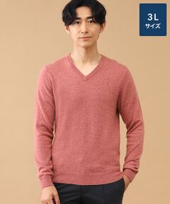 TAKASHIMAYA CASHMERE(レディース、メンズ) / タカシマヤカシミヤ(レディース、メンズ) ニット・セーター | カシミヤ Vネックセーター【3L】