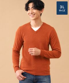 TAKASHIMAYA CASHMERE(レディース、メンズ) / タカシマヤカシミヤ(レディース、メンズ) ニット・セーター | カシミヤ Vネックセーター【3L】