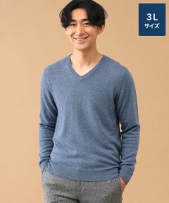 TAKASHIMAYA CASHMERE(レディース、メンズ) / タカシマヤカシミヤ(レディース、メンズ) ニット・セーター | カシミヤ Vネックセーター【3L】