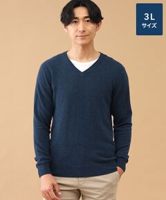 TAKASHIMAYA CASHMERE(レディース、メンズ) / タカシマヤカシミヤ(レディース、メンズ) ニット・セーター | カシミヤ Vネックセーター【3L】