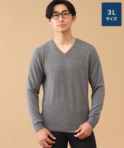 TAKASHIMAYA CASHMERE(レディース、メンズ) / タカシマヤカシミヤ(レディース、メンズ) ニット・セーター | カシミヤ Vネックセーター【3L】(グレー)