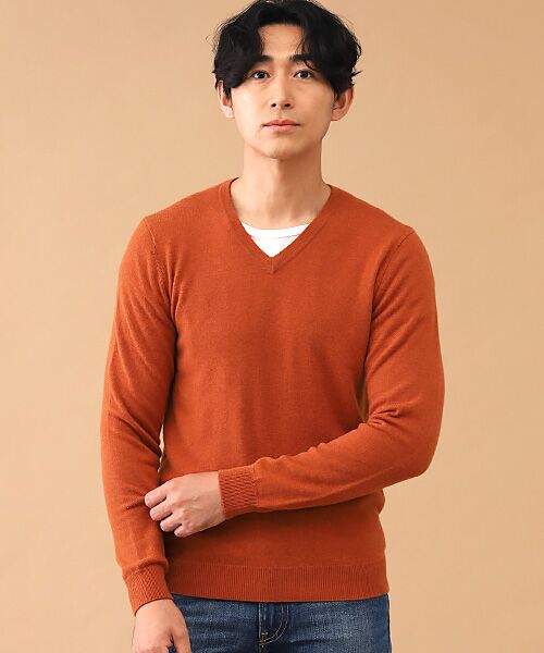 TAKASHIMAYA CASHMERE(レディース、メンズ) / タカシマヤカシミヤ(レディース、メンズ) ニット・セーター | カシミヤ Vネックセーター【3L】 | 詳細1
