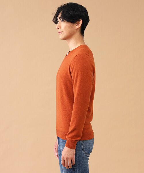 TAKASHIMAYA CASHMERE(レディース、メンズ) / タカシマヤカシミヤ(レディース、メンズ) ニット・セーター | カシミヤ Vネックセーター【3L】 | 詳細4