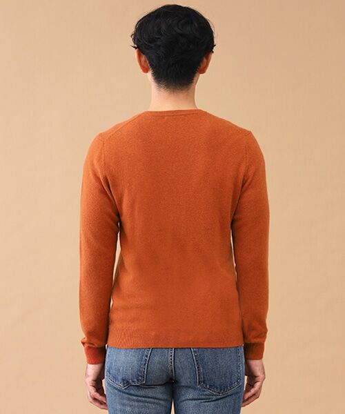 TAKASHIMAYA CASHMERE(レディース、メンズ) / タカシマヤカシミヤ(レディース、メンズ) ニット・セーター | カシミヤ Vネックセーター【3L】 | 詳細5