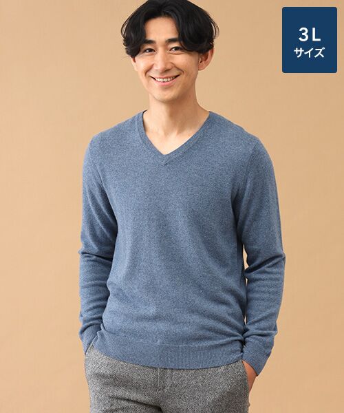 TAKASHIMAYA CASHMERE(レディース、メンズ) / タカシマヤカシミヤ(レディース、メンズ) ニット・セーター | カシミヤ Vネックセーター【3L】(ブルーグレー)