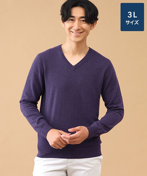 TAKASHIMAYA CASHMERE(レディース、メンズ) / タカシマヤカシミヤ(レディース、メンズ) ニット・セーター | カシミヤ Vネックセーター【3L】(パープル)