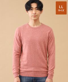 TAKASHIMAYA CASHMERE(レディース、メンズ) / タカシマヤカシミヤ(レディース、メンズ) ニット・セーター | カシミヤ クルーネックセーター【LL】