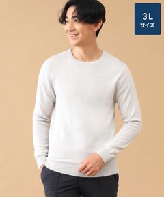 TAKASHIMAYA CASHMERE(レディース、メンズ) / タカシマヤカシミヤ(レディース、メンズ) ニット・セーター | カシミヤ クルーネックセーター【3L】