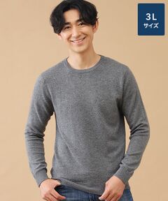 TAKASHIMAYA CASHMERE(レディース、メンズ) / タカシマヤカシミヤ(レディース、メンズ) ニット・セーター | カシミヤ クルーネックセーター【3L】