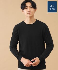 TAKASHIMAYA CASHMERE(レディース、メンズ) / タカシマヤカシミヤ(レディース、メンズ) ニット・セーター | カシミヤ クルーネックセーター【3L】