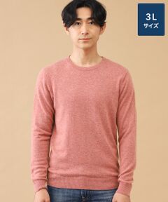 TAKASHIMAYA CASHMERE(レディース、メンズ) / タカシマヤカシミヤ(レディース、メンズ) ニット・セーター | カシミヤ クルーネックセーター【3L】