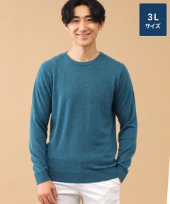 TAKASHIMAYA CASHMERE(レディース、メンズ) / タカシマヤカシミヤ(レディース、メンズ) ニット・セーター | カシミヤ クルーネックセーター【3L】