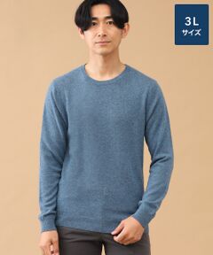 TAKASHIMAYA CASHMERE(レディース、メンズ) / タカシマヤカシミヤ(レディース、メンズ) ニット・セーター | カシミヤ クルーネックセーター【3L】