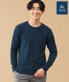 TAKASHIMAYA CASHMERE(レディース、メンズ) / タカシマヤカシミヤ(レディース、メンズ) ニット・セーター | カシミヤ クルーネックセーター【3L】