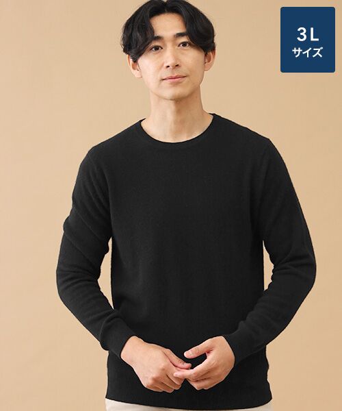 TAKASHIMAYA CASHMERE(レディース、メンズ) / タカシマヤカシミヤ(レディース、メンズ) ニット・セーター | カシミヤ クルーネックセーター【3L】(ブラック)