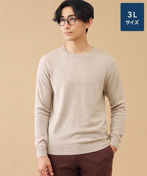 TAKASHIMAYA CASHMERE(レディース、メンズ) / タカシマヤカシミヤ(レディース、メンズ) ニット・セーター | カシミヤ クルーネックセーター【3L】(エクリュベージュ)