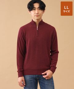 TAKASHIMAYA CASHMERE(レディース、メンズ) / タカシマヤカシミヤ(レディース、メンズ) ニット・セーター | カシミヤ ハーフジップセーター【LL】