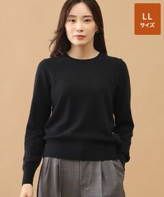 TAKASHIMAYA CASHMERE(レディース、メンズ) / タカシマヤカシミヤ(レディース、メンズ) ニット・セーター | カシミヤ クルーネックセーター【LL】