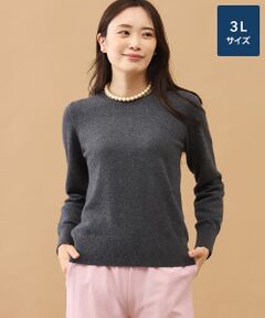 TAKASHIMAYA CASHMERE(レディース、メンズ) / タカシマヤカシミヤ(レディース、メンズ) ニット・セーター | カシミヤ クルーネックセーター【3L】