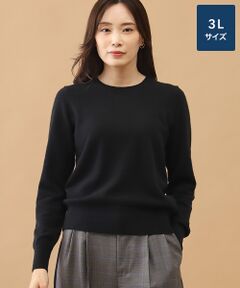 TAKASHIMAYA CASHMERE(レディース、メンズ) / タカシマヤカシミヤ(レディース、メンズ) ニット・セーター | カシミヤ クルーネックセーター【3L】