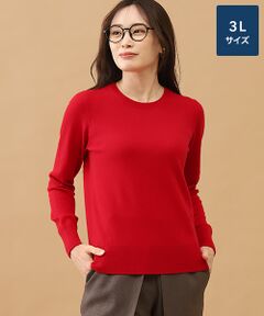 TAKASHIMAYA CASHMERE(レディース、メンズ) / タカシマヤカシミヤ(レディース、メンズ) ニット・セーター | カシミヤ クルーネックセーター【3L】