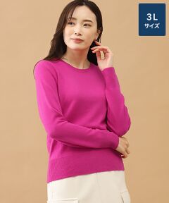 TAKASHIMAYA CASHMERE(レディース、メンズ) / タカシマヤカシミヤ(レディース、メンズ) ニット・セーター | カシミヤ クルーネックセーター【3L】