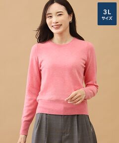 TAKASHIMAYA CASHMERE(レディース、メンズ) / タカシマヤカシミヤ(レディース、メンズ) ニット・セーター | カシミヤ クルーネックセーター【3L】