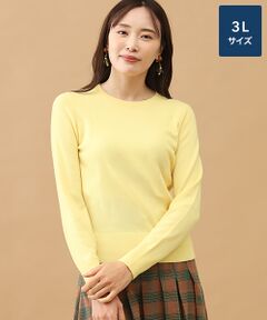TAKASHIMAYA CASHMERE(レディース、メンズ) / タカシマヤカシミヤ(レディース、メンズ) ニット・セーター | カシミヤ クルーネックセーター【3L】