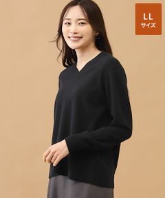 TAKASHIMAYA CASHMERE(レディース、メンズ) / タカシマヤカシミヤ(レディース、メンズ) ニット・セーター | カシミヤ Vネックセーター【LL】