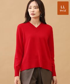 TAKASHIMAYA CASHMERE(レディース、メンズ) / タカシマヤカシミヤ(レディース、メンズ) ニット・セーター | カシミヤ Vネックセーター【LL】