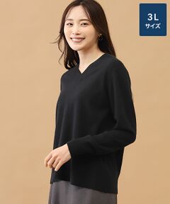 TAKASHIMAYA CASHMERE(レディース、メンズ) / タカシマヤカシミヤ(レディース、メンズ) ニット・セーター | カシミヤ Vネックセーター【3L】