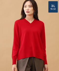 TAKASHIMAYA CASHMERE(レディース、メンズ) / タカシマヤカシミヤ(レディース、メンズ) ニット・セーター | カシミヤ Vネックセーター【3L】