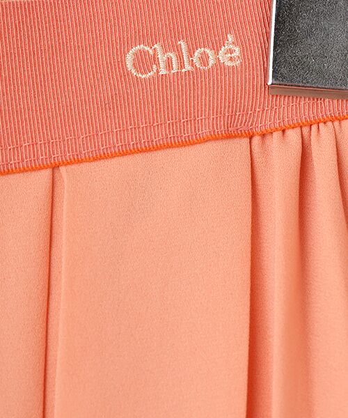 TAKASHIMAYA OUTLET / タカシマヤ アウトレット ロング・マキシ丈スカート | 『アウトレット対象商品』クロエ　プリーツスカート | 詳細5